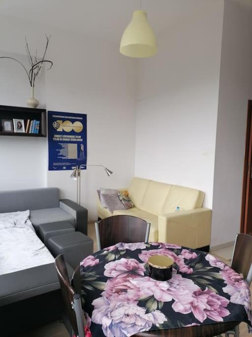 Apartamento Przy Parku Klimatyzacja Parking Wifi Breslavia Exterior foto